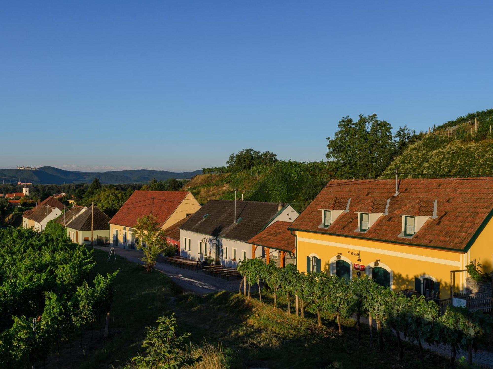 Hotel Gaestehaus Familie Trachsler Rohrendorf bei Krems Esterno foto