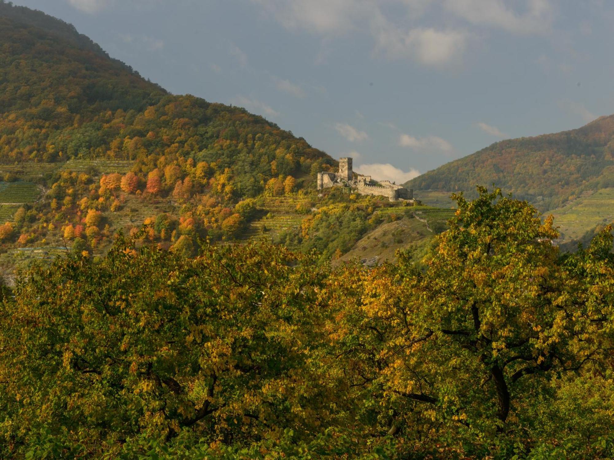 Hotel Gaestehaus Familie Trachsler Rohrendorf bei Krems Esterno foto