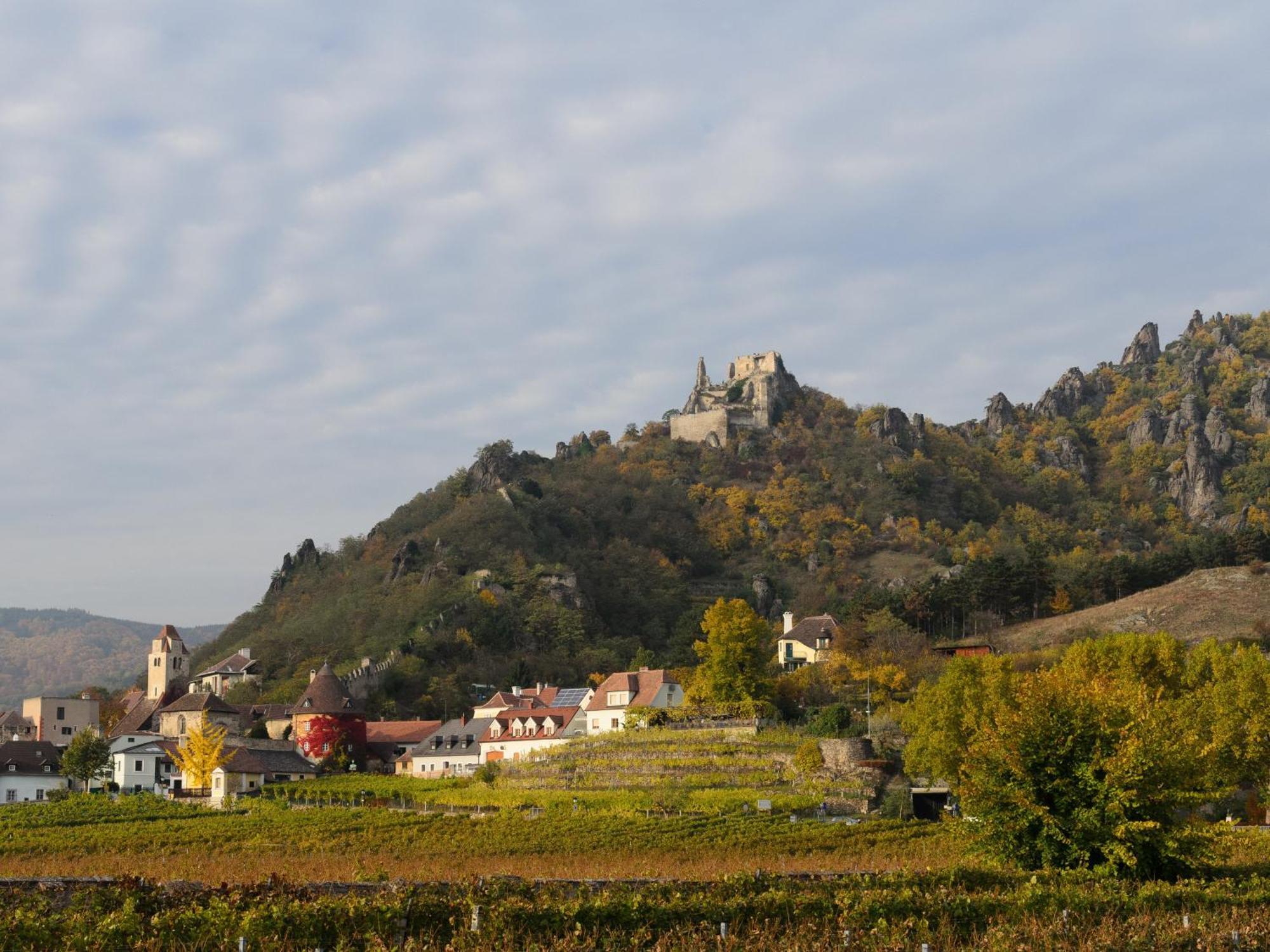 Hotel Gaestehaus Familie Trachsler Rohrendorf bei Krems Esterno foto